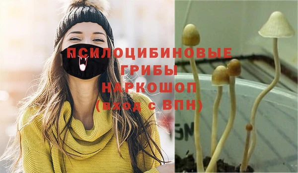 Альфа ПВП Алзамай
